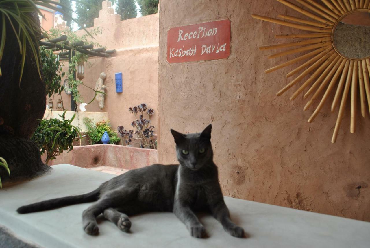 Auberge Kasbah Darla Tahanaout Exteriér fotografie