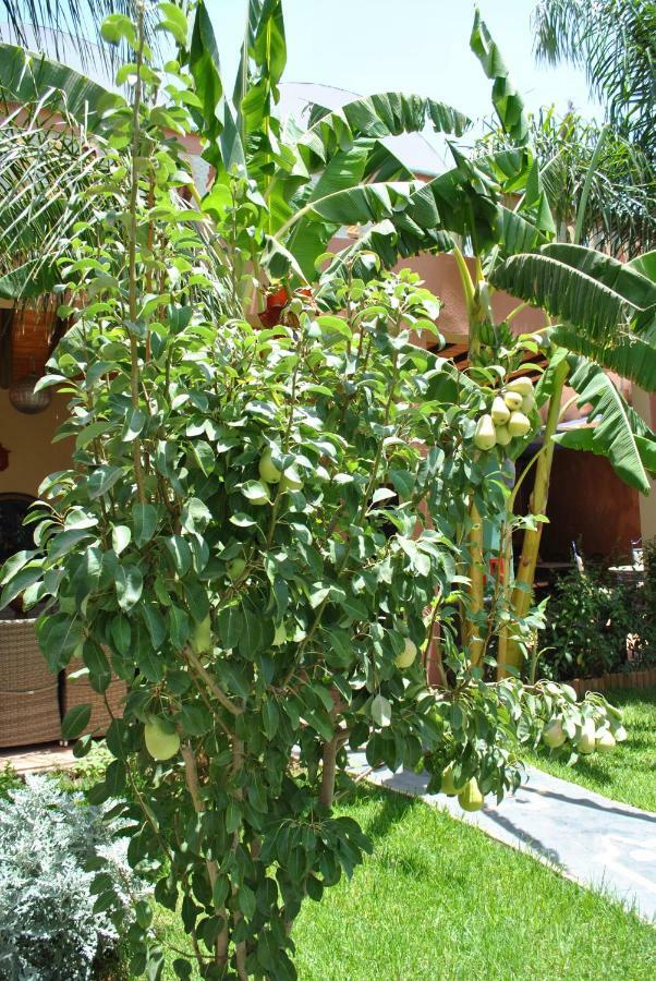 Auberge Kasbah Darla Tahanaout Exteriér fotografie